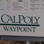 photo-10