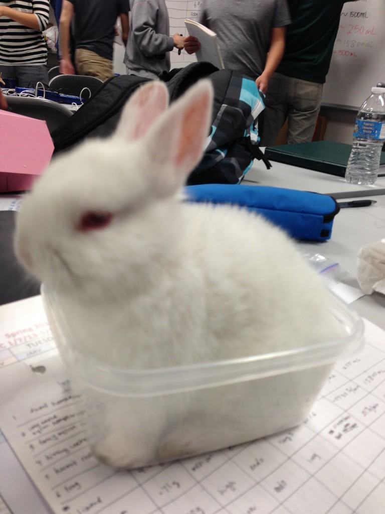 Critter Respiratory Lab