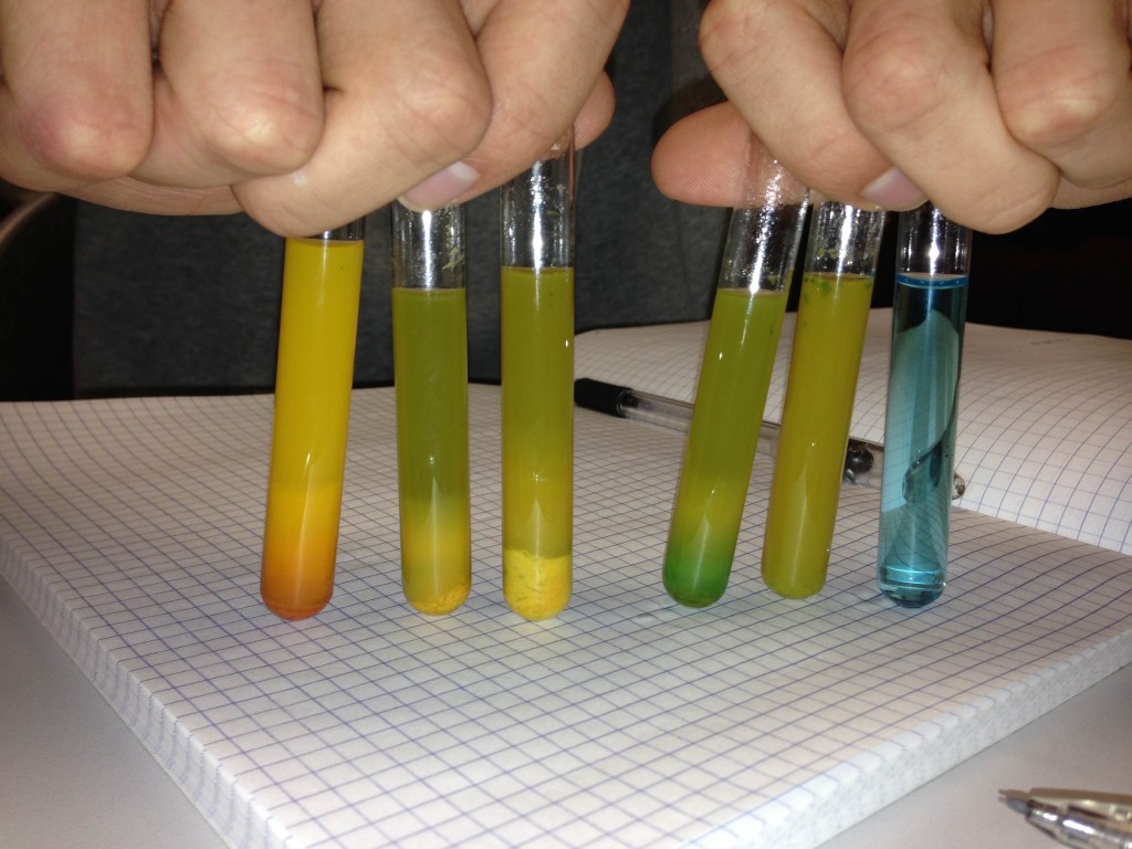 Enzyme Lab
