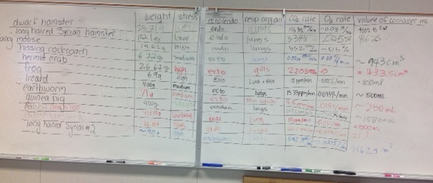 Critter Lab - 3