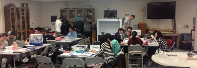Critter Lab - 2